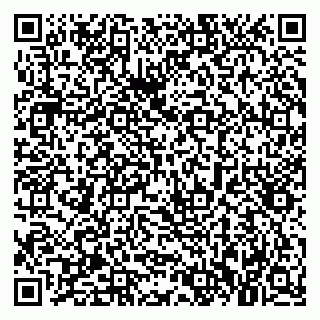 vCard 79021080532