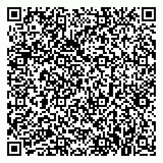 vCard 79021080541