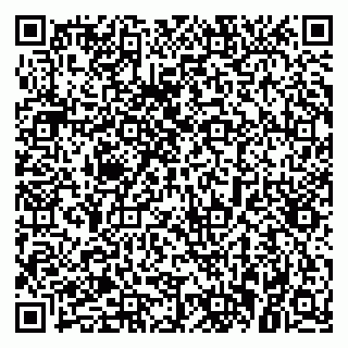 vCard 79021080803
