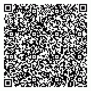 vCard 79021080933