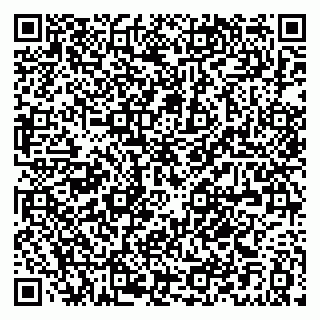 vCard 79021081038
