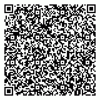 vCard 79021081063