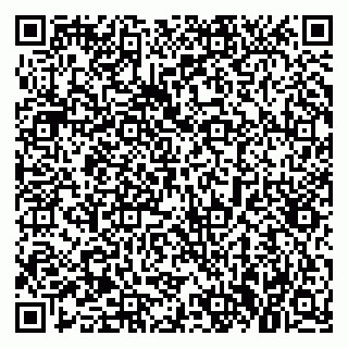 vCard 79021081331