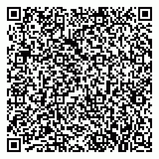 vCard 79021081353
