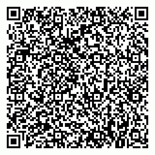 vCard 79021081398