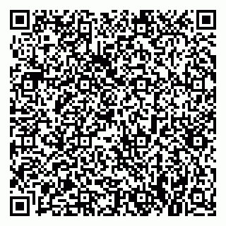 vCard 79021081399
