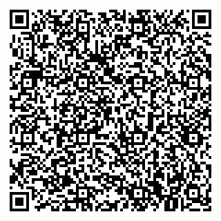 vCard 79021081631