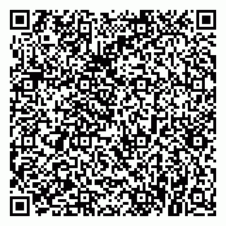 vCard 79021083987