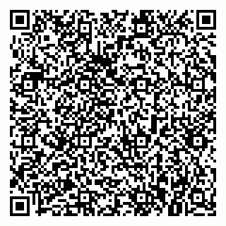 vCard 79021084033