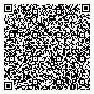 vCard 79021084131