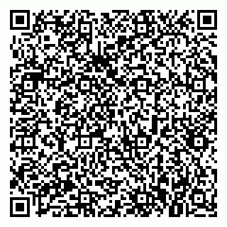 vCard 79021084133