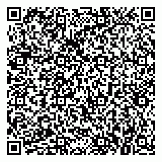 vCard 79021085132