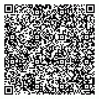 vCard 79021085178