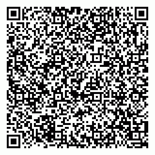 vCard 79021085239