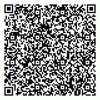 vCard 79021085378