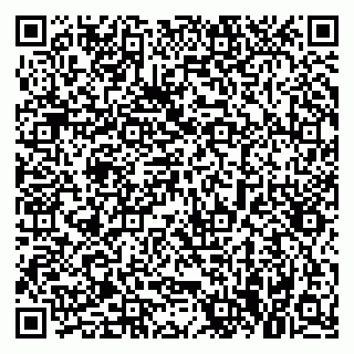 vCard 79021085385