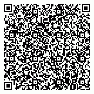 vCard 79021085387