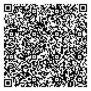 vCard 79021085478