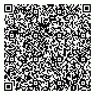 vCard 79021085532