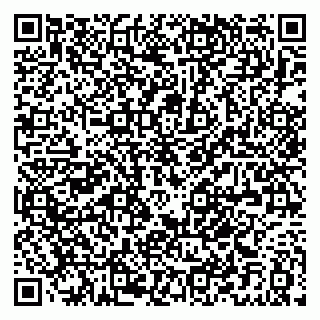 vCard 79021087133