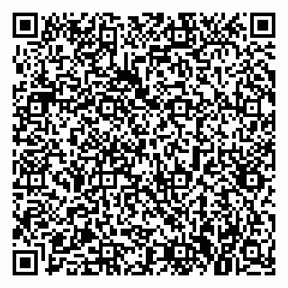 vCard 79021087331