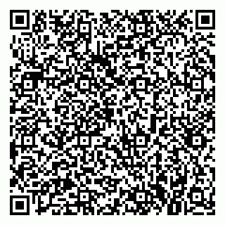 vCard 79021087381