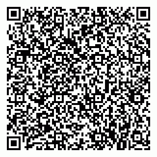 vCard 79021087397