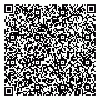 vCard 79021087412