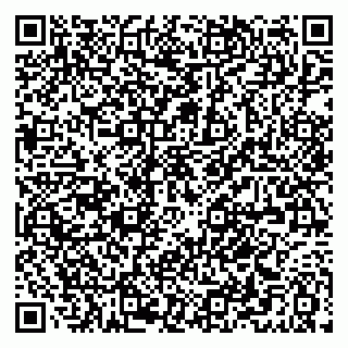 vCard 79021087881