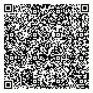 vCard 79021087987