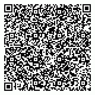 vCard 79021089032
