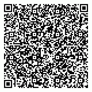 vCard 79021089133