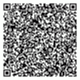 vCard 79021089173