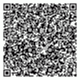 vCard 79021089733