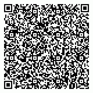 vCard 79021089997