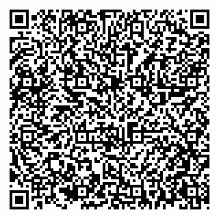 vCard 79021090002