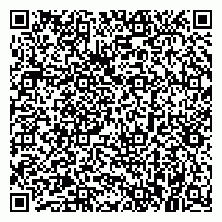 vCard 79021090003