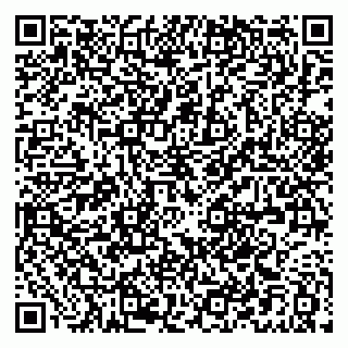vCard 79021090013