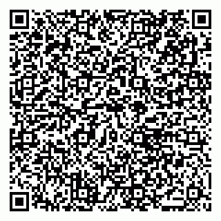vCard 79021090029