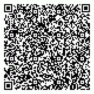 vCard 79021090033