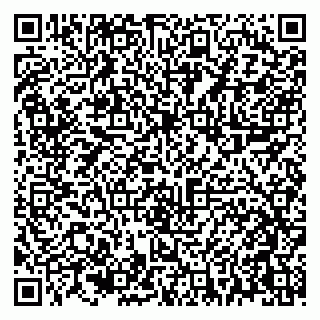 vCard 79021090038