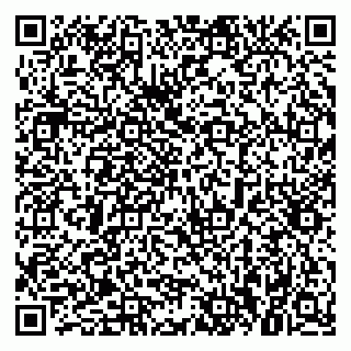 vCard 79021090040