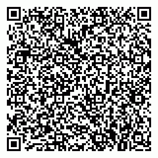 vCard 79021090131