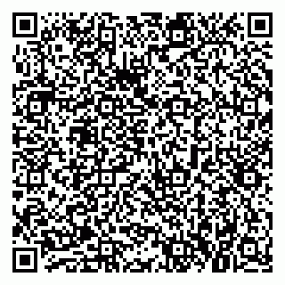 vCard 79021090306