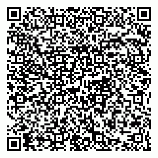 vCard 79021090310