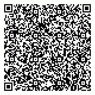 vCard 79021090311