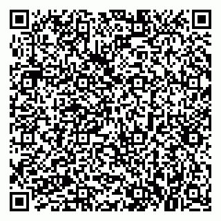 vCard 79021090312