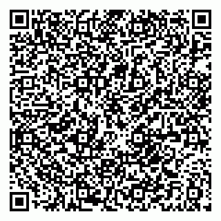 vCard 79021090335