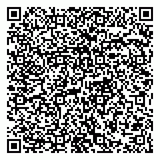 vCard 79021090373