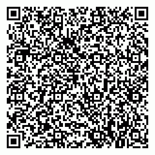 vCard 79021090378